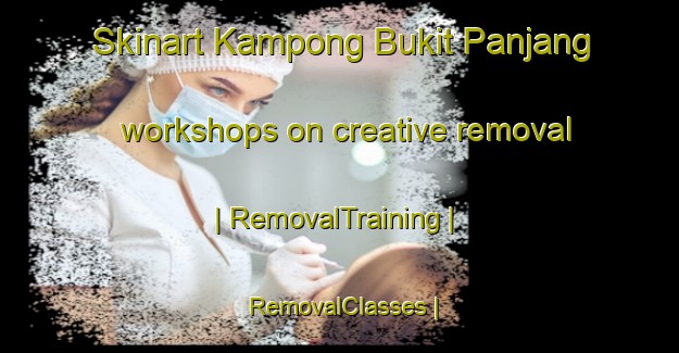 Skinart Kampong Bukit Panjang workshops on creative removal | RemovalTraining | RemovalClasses | SkinartTraining-Singapore